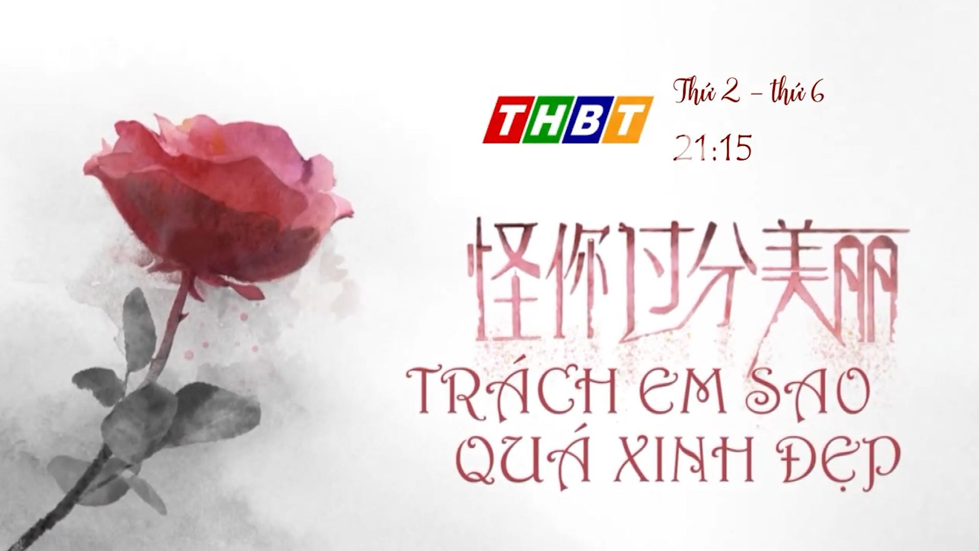 Trailer phim Trách em sao quá xinh đẹp | 21h15 | Thứ hai đến thứ sáu