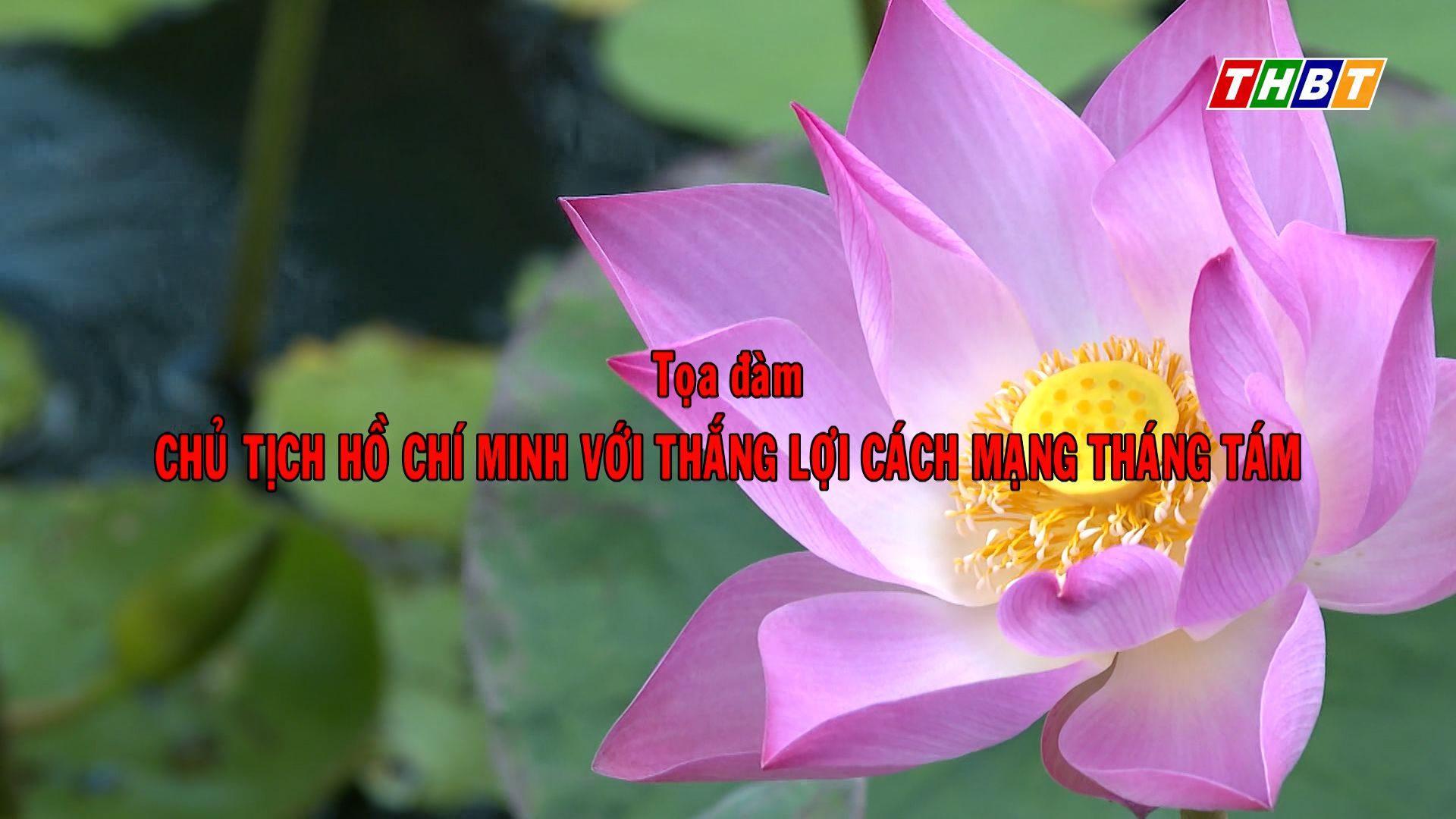 Toạ đàm: Chủ tịch Hồ Chí Minh với thắng lợi CMT8